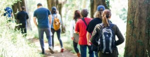 Wandergruppe unterwegs auf einem Waldweg